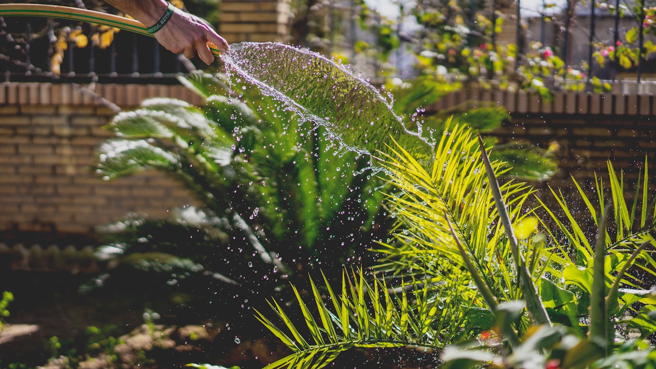 How to Connect a Pressure Washer Hose